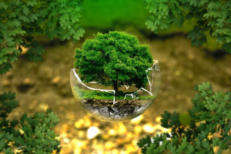 Asperger's Environment Hans Asperger discovered the fundamental problem of this little understood condition.