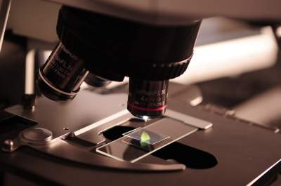 Research in to ASD Research in to ASD
