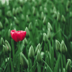 Debunking Myths About Asperger’s Syndrome